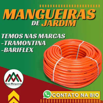 Publicação no Instagram da Assis Mangueiras