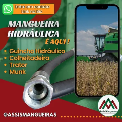 Publicação no Instagram da Assis Mangueiras
