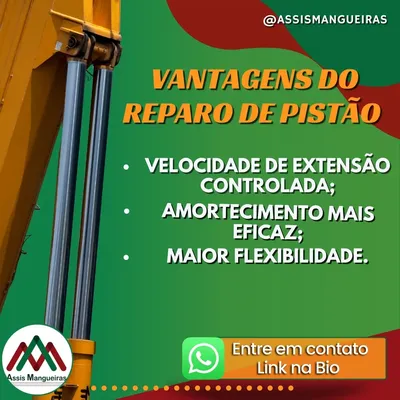 Publicação no Instagram da Assis Mangueiras