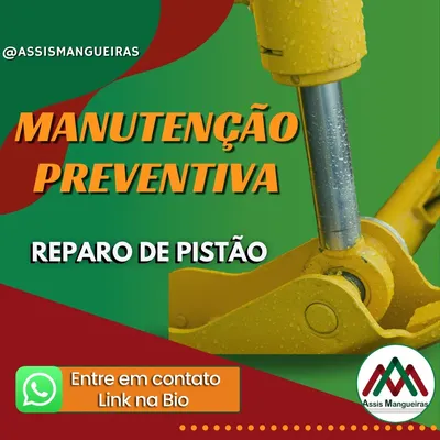 Publicação no Instagram da Assis Mangueiras